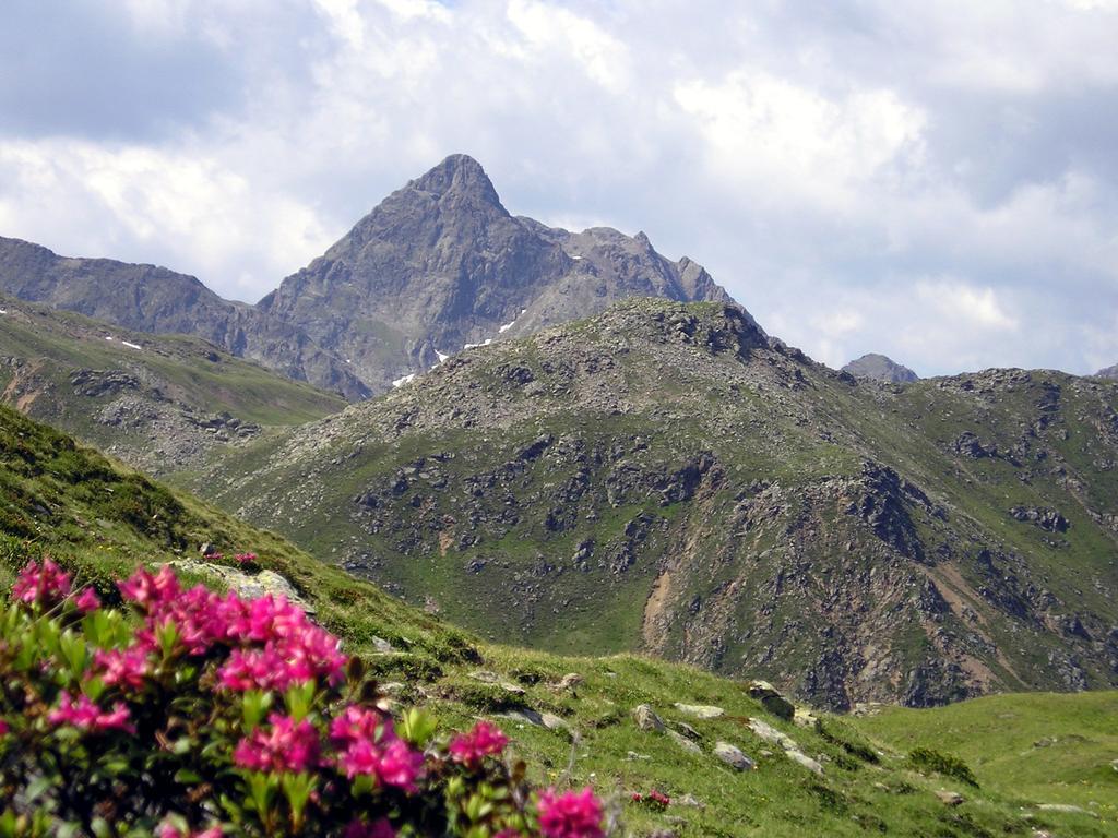 Pension Stoffler Sankt Veit in Defereggen Экстерьер фото